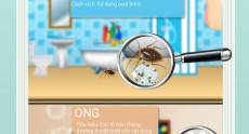 7 loại côn trùng phổ biến trong nhà [Infographic]