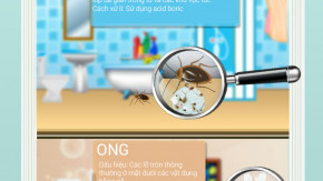7 loại côn trùng phổ biến trong nhà [Infographic]